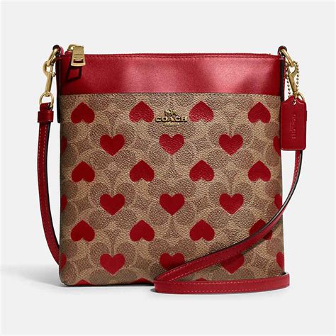 coach valentines bag